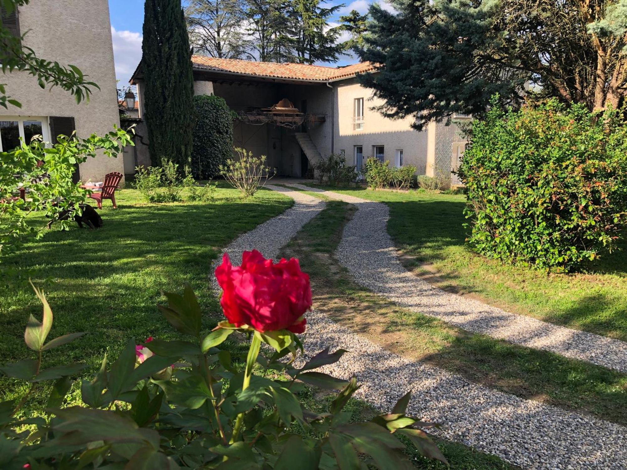 Apartament Les Loges De Bacchus L'Epicurieux Chonas-lʼAmballan Zewnętrze zdjęcie